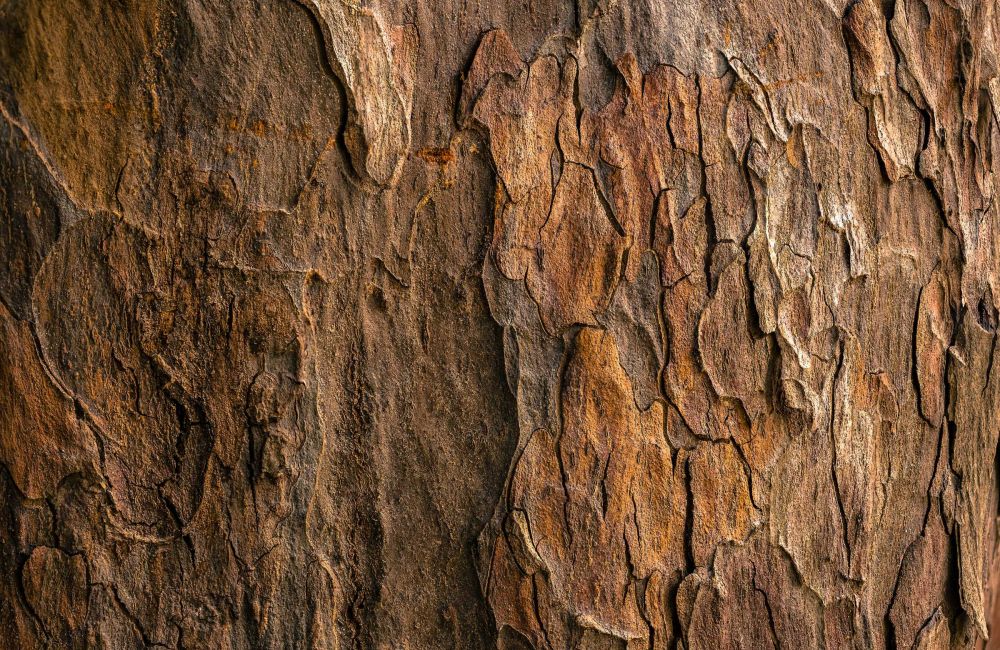 Bark pattern VERVE Tempe